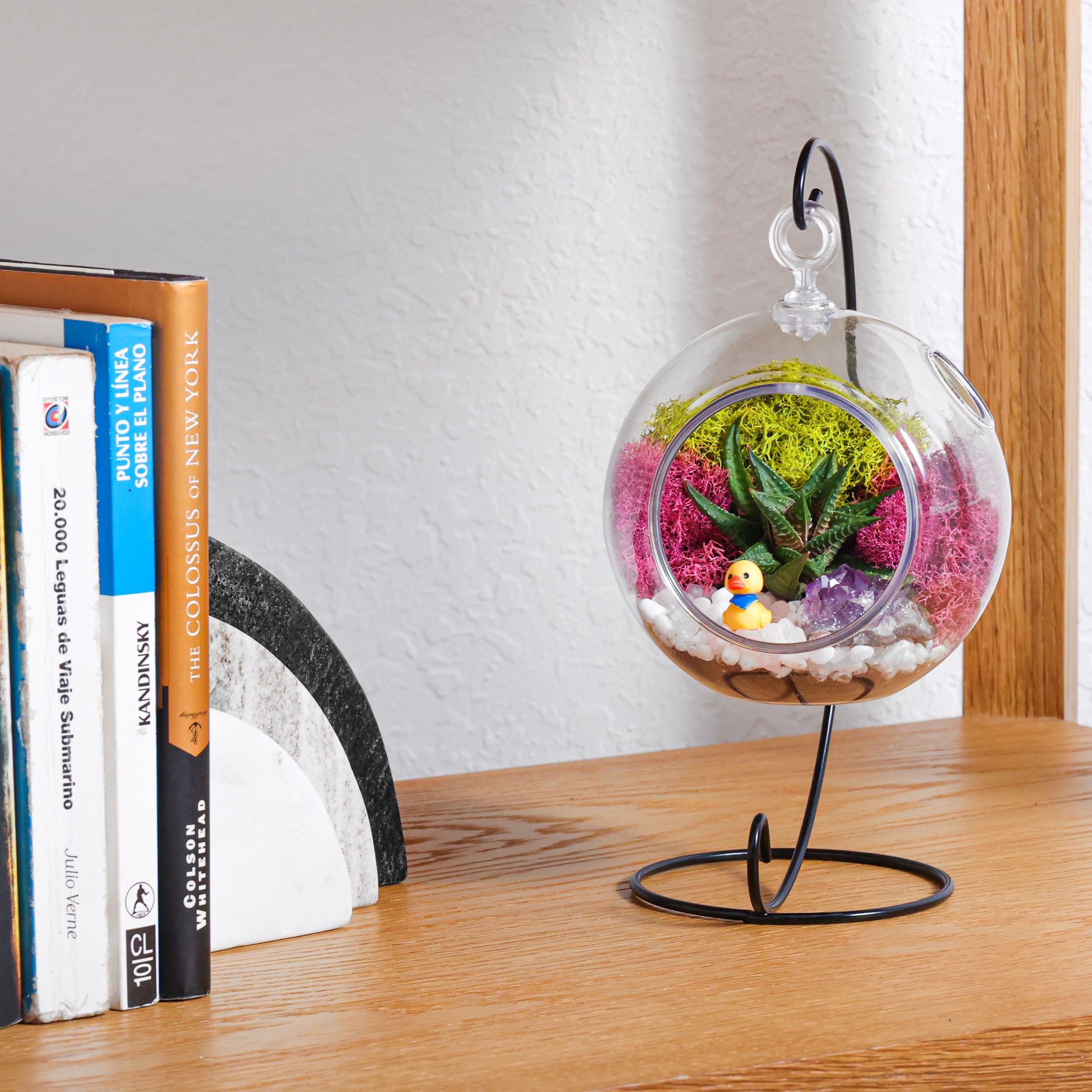 air plant terrarium globe 5 in. Acrylic Globe Terrarium Kit with Live Succulent, Metal Stand, Reindeer Moss, Crystals, Rocks, Tools and Figurine