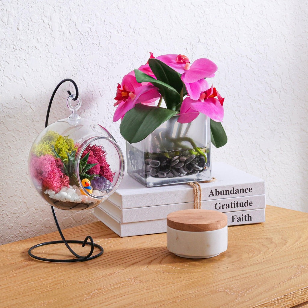 5" Acrylic Globe Succulent Terrarium Kit (Kid Friendly) - Creations by Nathalie
