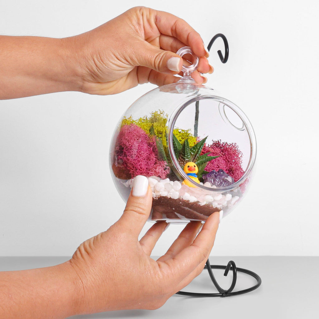 5" Acrylic Globe Succulent Terrarium Kit (Kid Friendly) - Creations by Nathalie