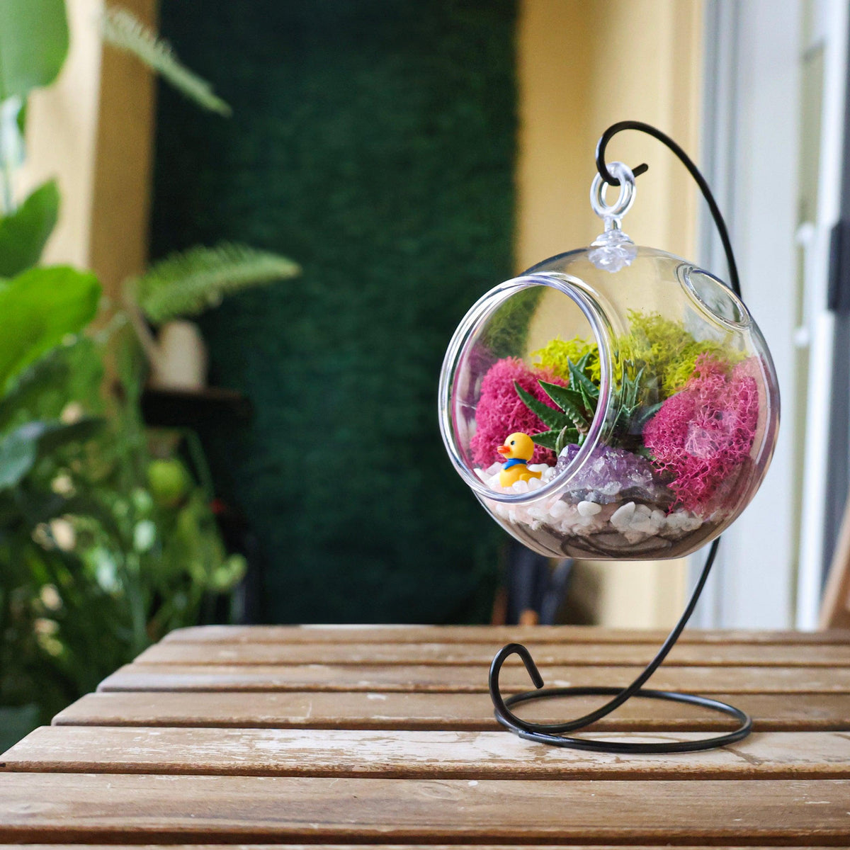 5" Acrylic Globe Succulent Terrarium Kit (Kid Friendly) - Creations by Nathalie