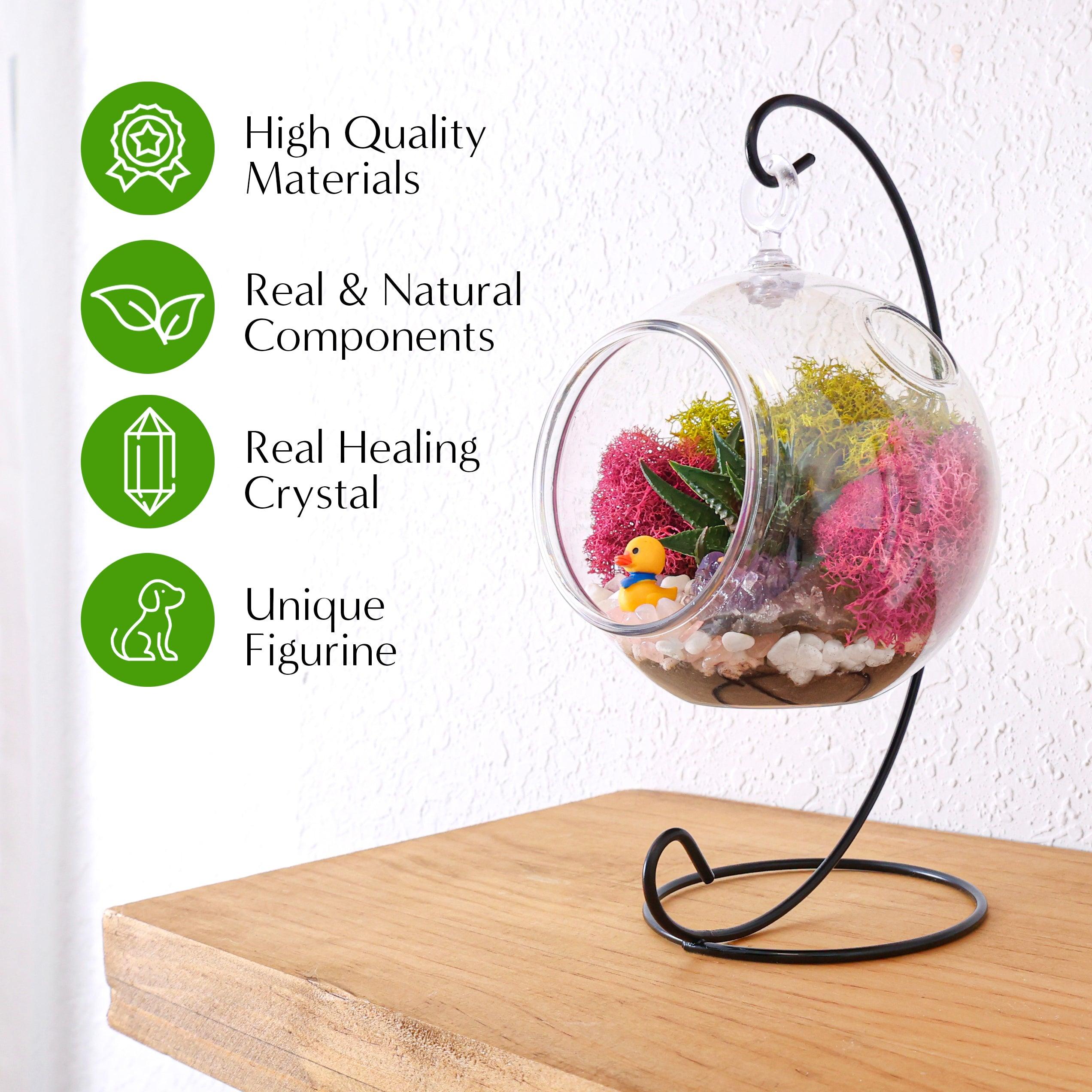 5 Acrylic Globe Succulent Terrarium Kit (Kid Friendly)