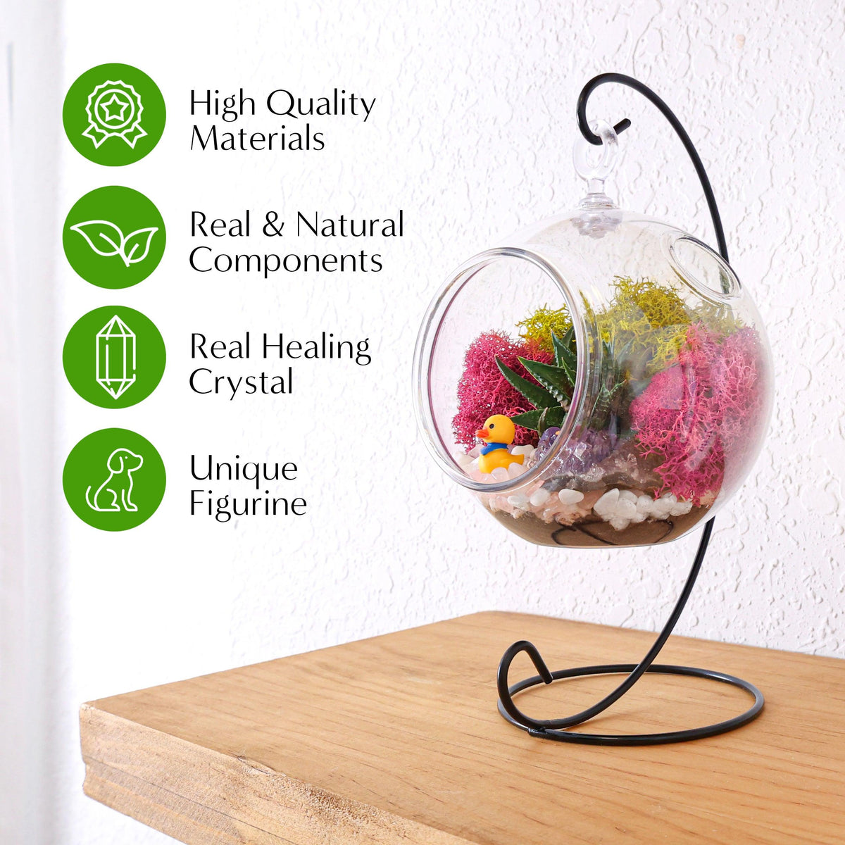 5" Acrylic Globe Succulent Terrarium Kit (Kid Friendly) - Creations by Nathalie