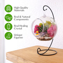 Load image into Gallery viewer, 5&quot; Acrylic Globe Succulent Terrarium Kit (Kid Friendly) - Creations by Nathalie
