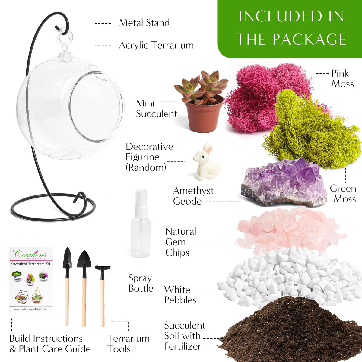 5" Acrylic Globe Succulent Terrarium Kit (Kid Friendly) - Creations by Nathalie