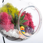 5" Acrylic Globe Succulent Terrarium Kit (Kid Friendly) - Creations by Nathalie