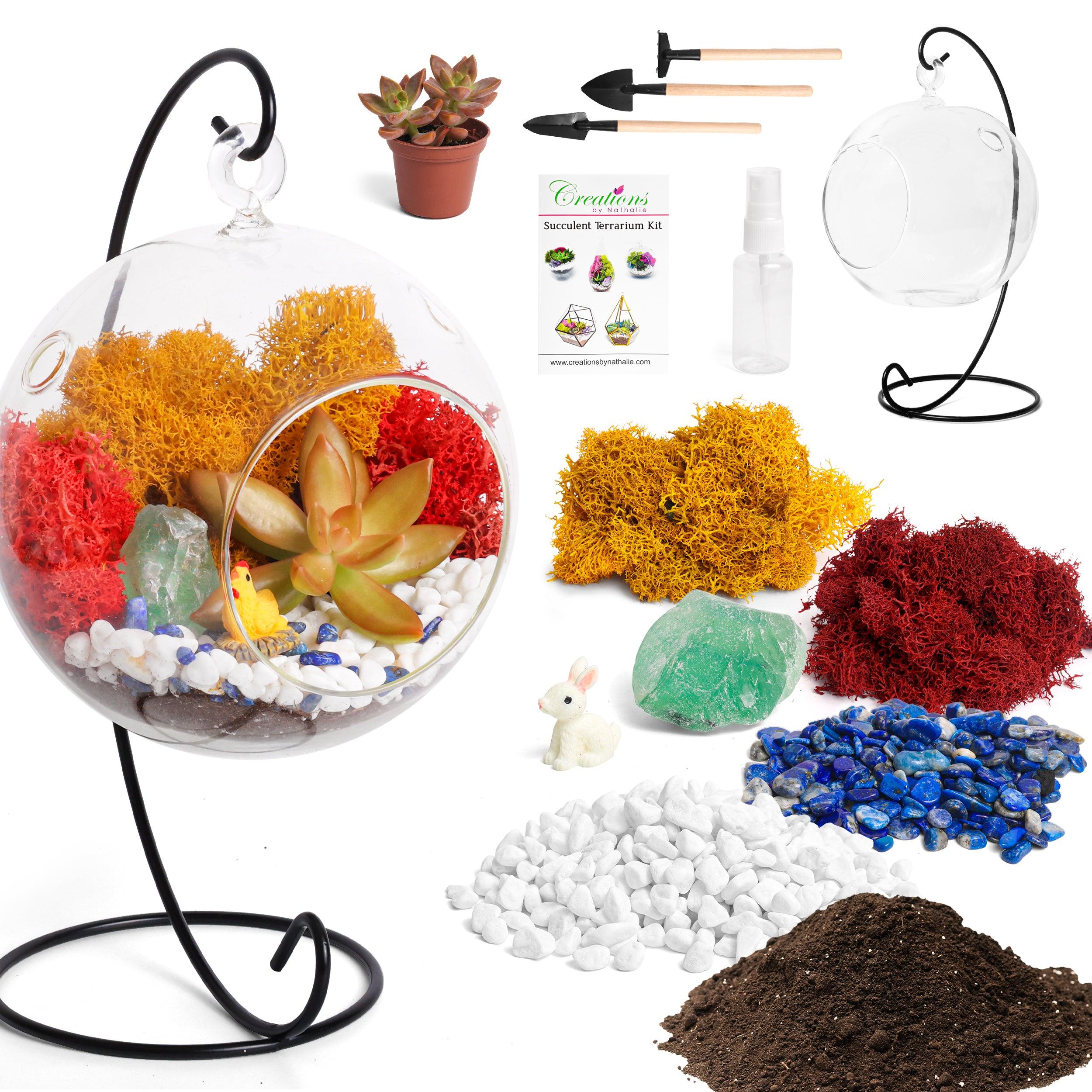 5" Glass Globe Succulent Terrarium Kit - Creations by Nathalie