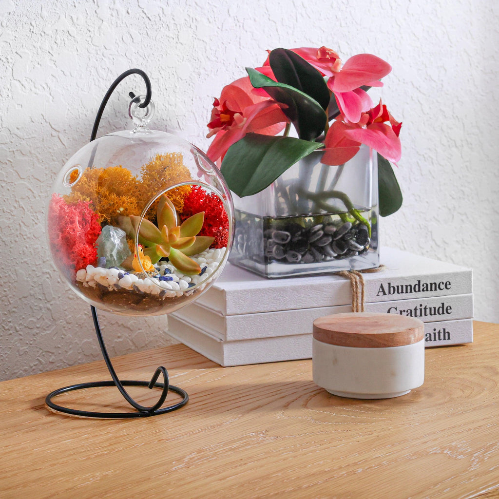 5" Glass Globe Succulent Terrarium Kit - Creations by Nathalie
