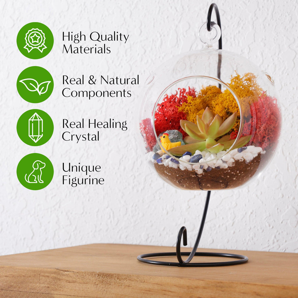 5" Glass Globe Succulent Terrarium Kit - Creations by Nathalie