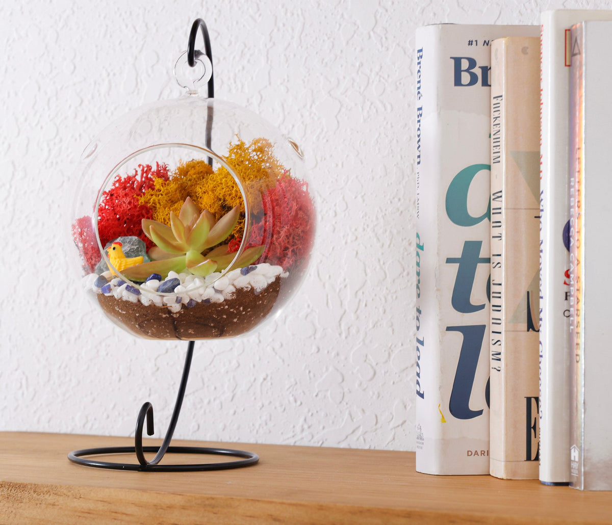 5" Glass Globe Succulent Terrarium Kit - Creations by Nathalie