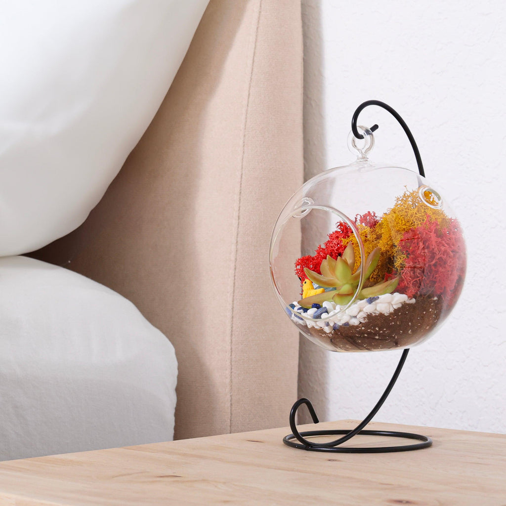 5" Glass Globe Succulent Terrarium Kit - Creations by Nathalie