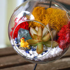 5" Glass Globe Succulent Terrarium Kit - Creations by Nathalie