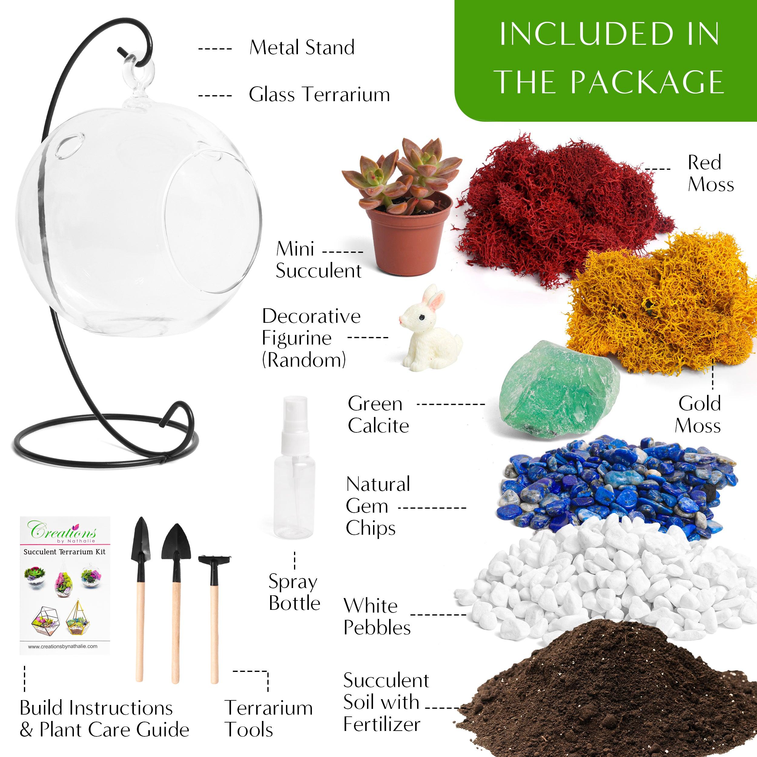 5" Glass Globe Succulent Terrarium Kit - Creations by Nathalie