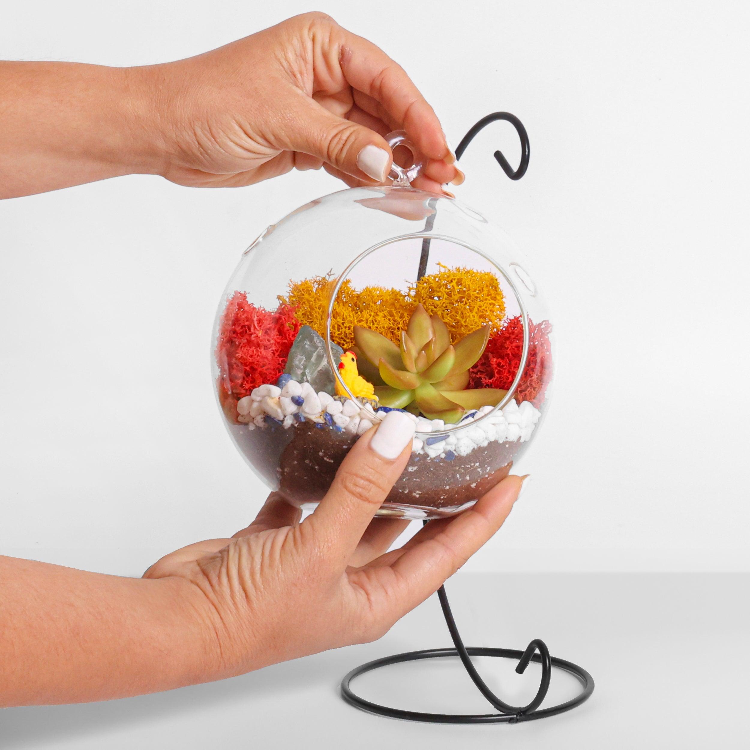5" Glass Globe Succulent Terrarium Kit - Creations by Nathalie