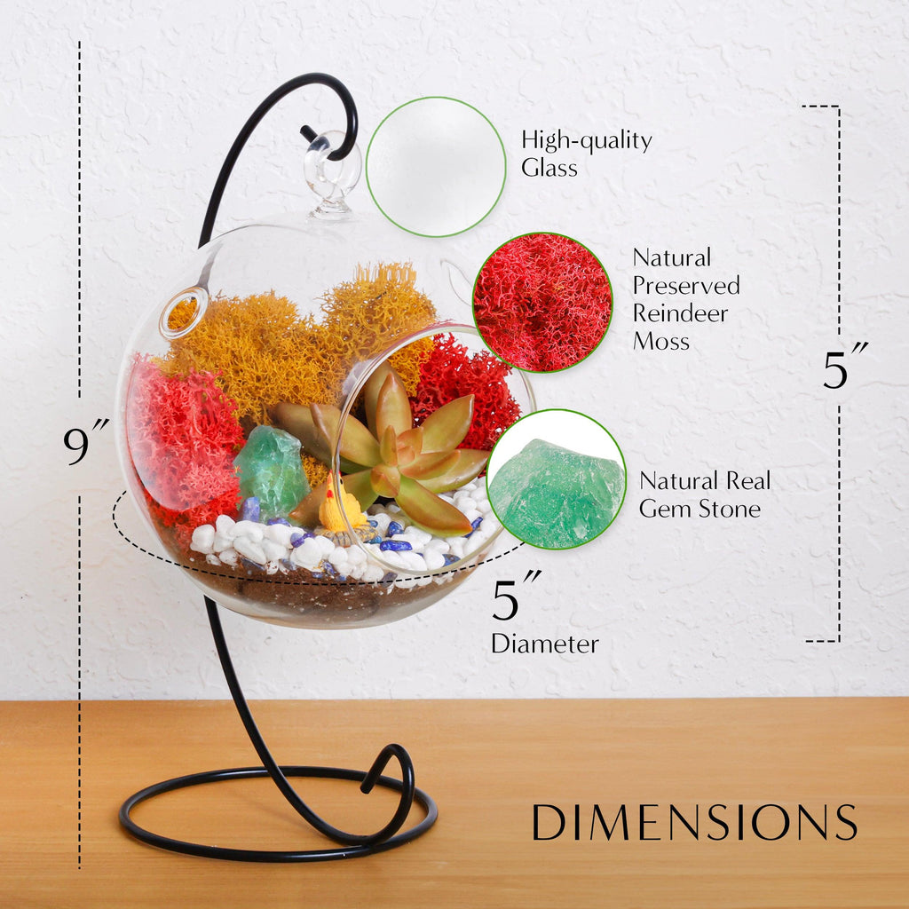 5" Glass Globe Succulent Terrarium Kit - Creations by Nathalie