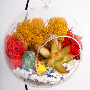 5" Glass Globe Succulent Terrarium Kit - Creations by Nathalie