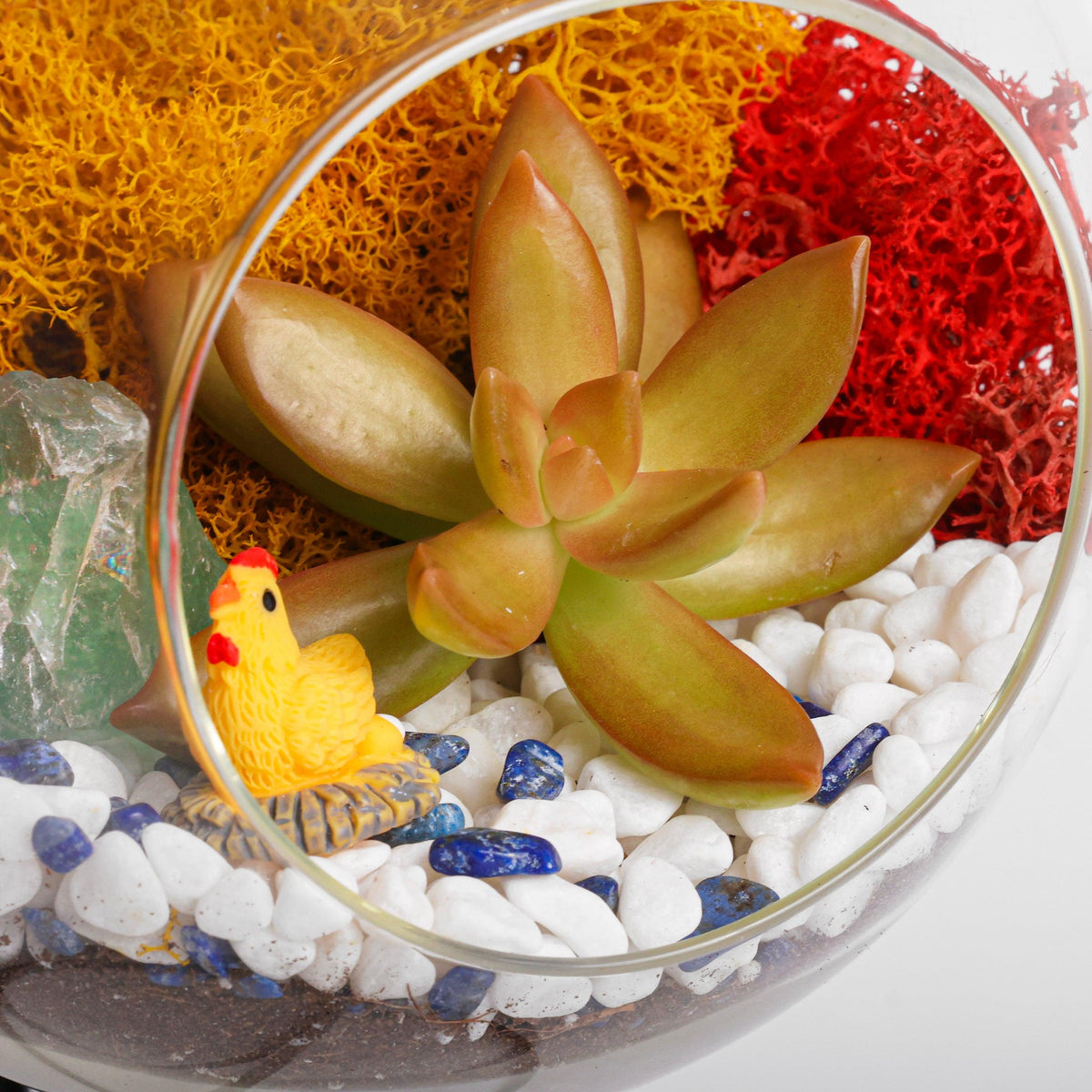 5" Glass Globe Succulent Terrarium Kit - Creations by Nathalie
