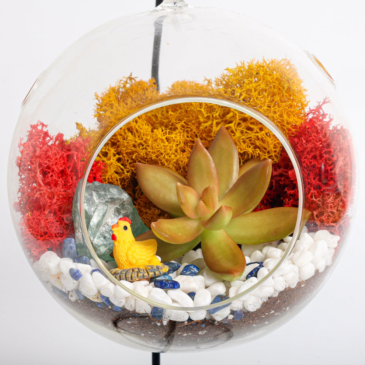 5" Glass Globe Succulent Terrarium Kit - Creations by Nathalie