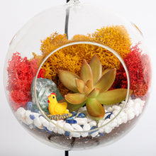 Load image into Gallery viewer, 5&quot; Glass Globe Succulent Terrarium Kit - Creations by Nathalie