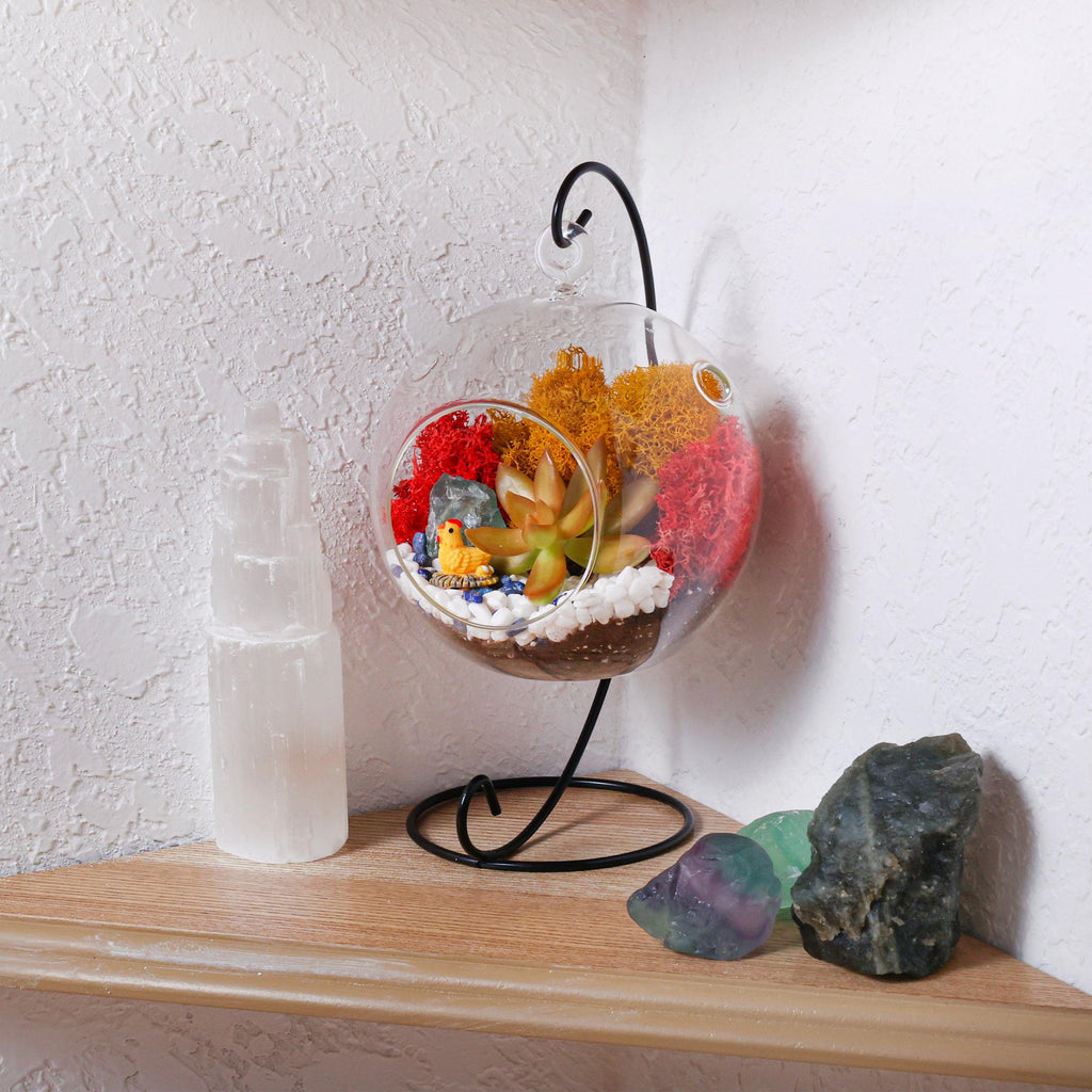 5" Glass Globe Succulent Terrarium Kit - Creations by Nathalie