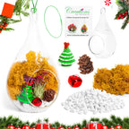 5" Glass Teardrop Holiday Ornament Terrarium Kit - Creations by Nathalie