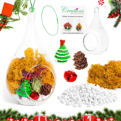 5" Glass Teardrop Holiday Ornament Terrarium Kit - Creations by Nathalie
