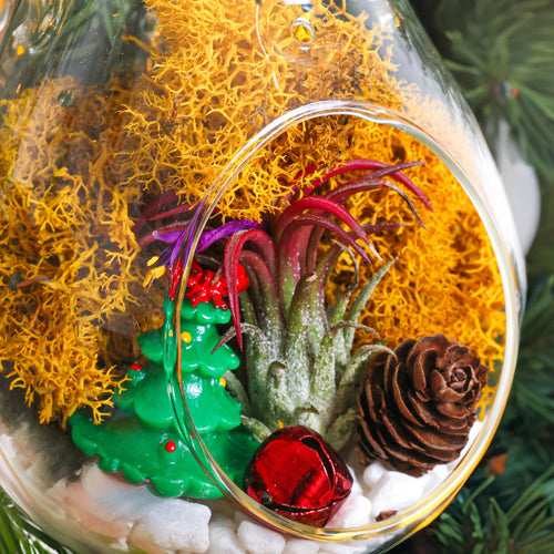 5" Glass Teardrop Holiday Ornament Terrarium Kit - Creations by Nathalie