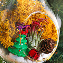 Load image into Gallery viewer, 5&quot; Glass Teardrop Holiday Ornament Terrarium Kit - Creations by Nathalie