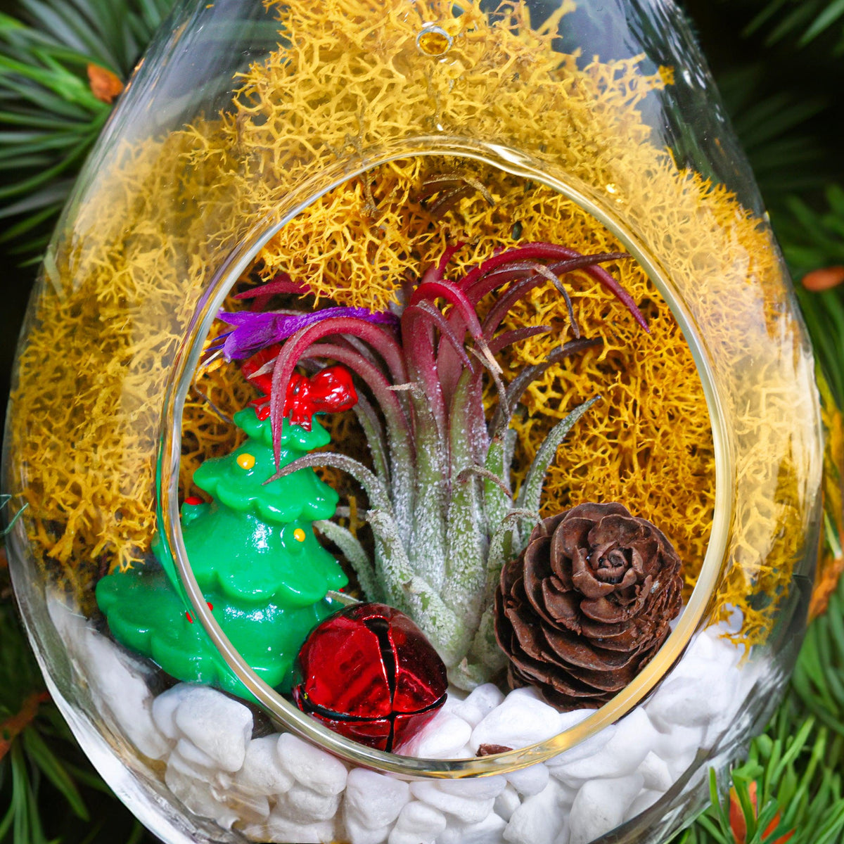 5" Glass Teardrop Holiday Ornament Terrarium Kit - Creations by Nathalie