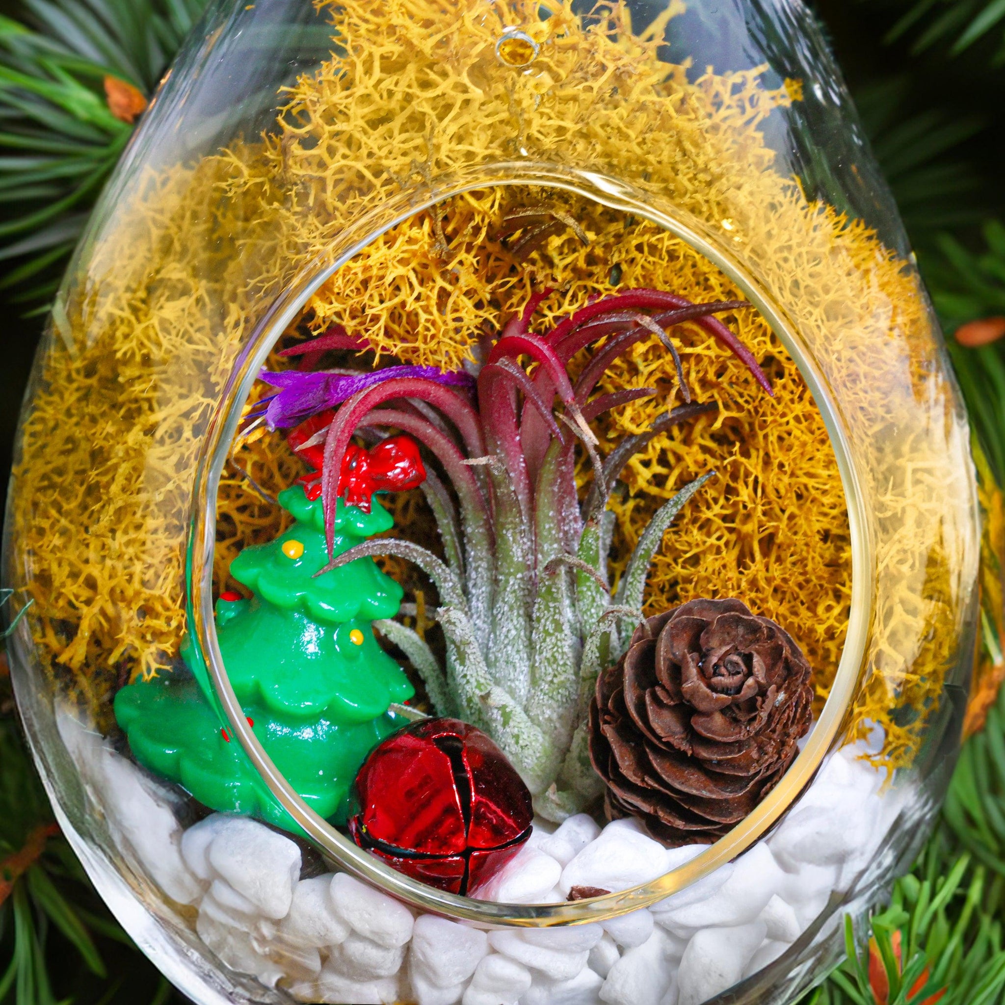 christmas succulent terrarium 5" Glass Teardrop Holiday Ornament Terrarium Kit