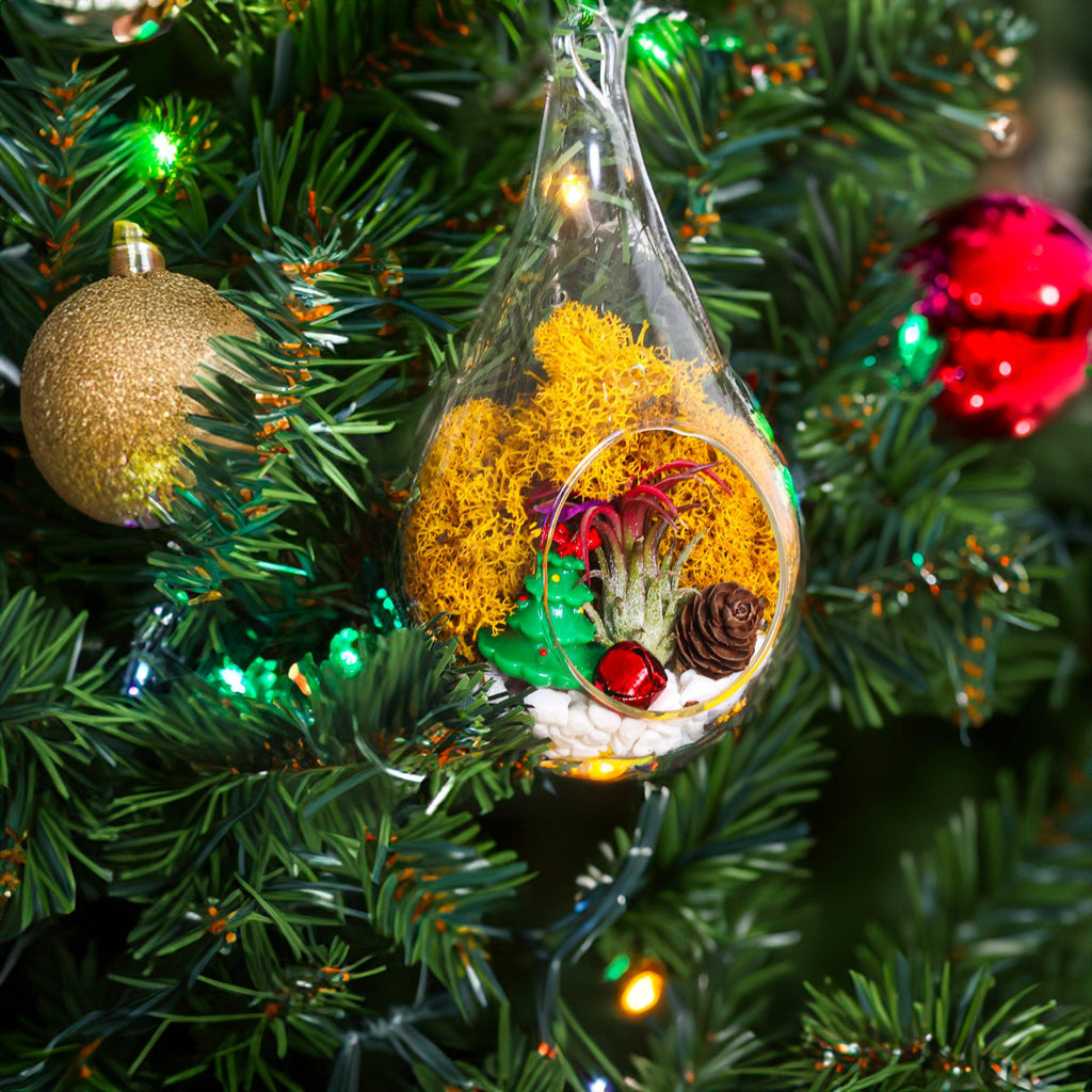 5" Glass Teardrop Holiday Ornament Terrarium Kit - Creations by Nathalie