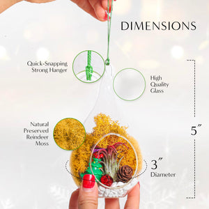 5" Glass Teardrop Holiday Ornament Terrarium Kit - Creations by Nathalie
