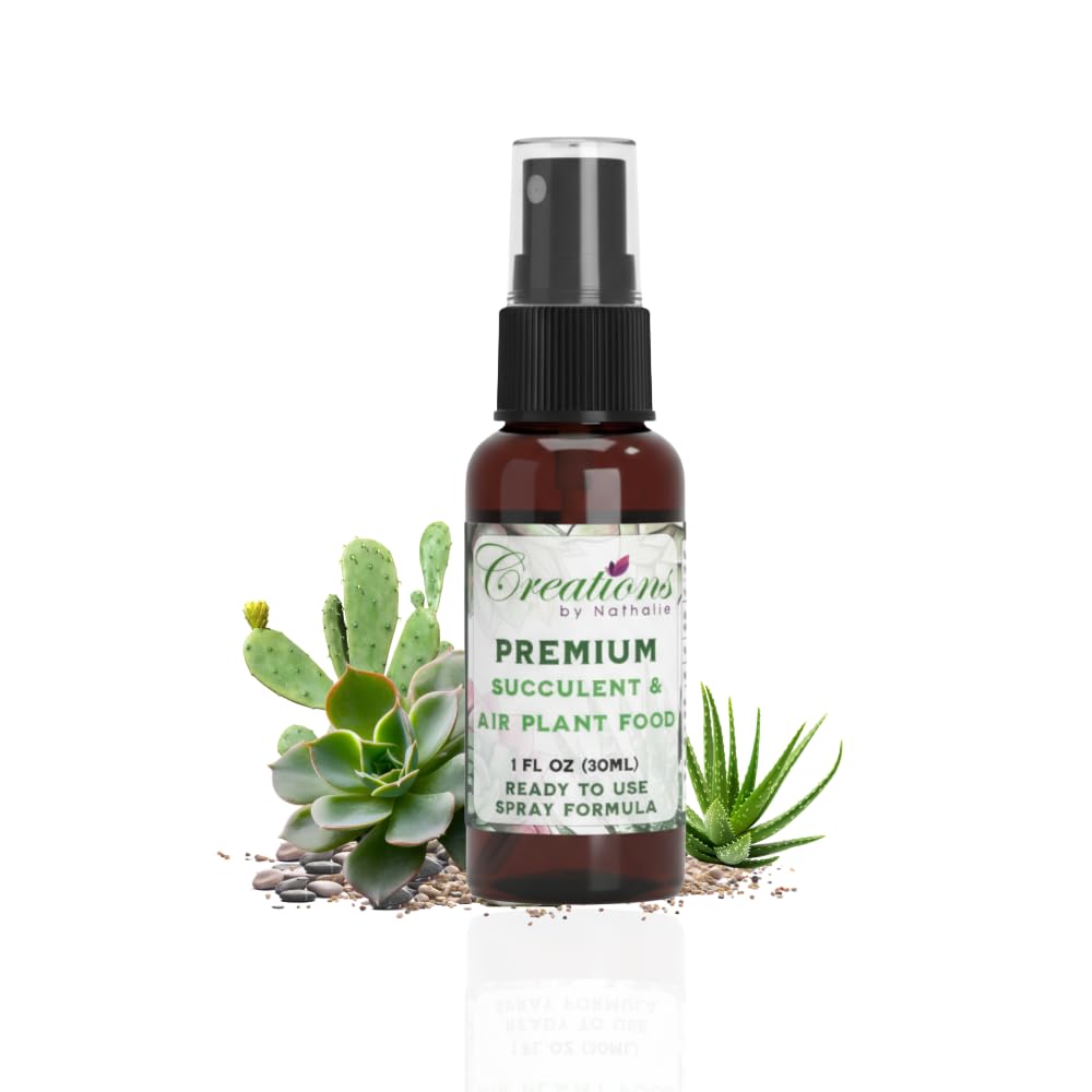 Succulent & Air Plant Fertilizer Spray — Ready-to-Use Liquid Plant Food for Terrariums, Indoor Plants & DIY Kits