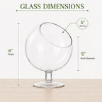 Chalice Glass Terrarium Bowl — 5" Open Succulent Planter Vase for Air Plants, DIY Terrarium, Wedding & Home Decor