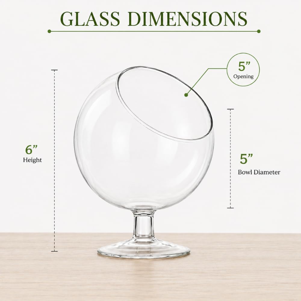 Chalice Glass Terrarium Bowl — 5" Open Succulent Planter Vase for Air Plants, DIY Terrarium, Wedding & Home Decor