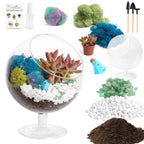 6" Glass Chalice Succulent Terrarium Kit - Creations by Nathalie