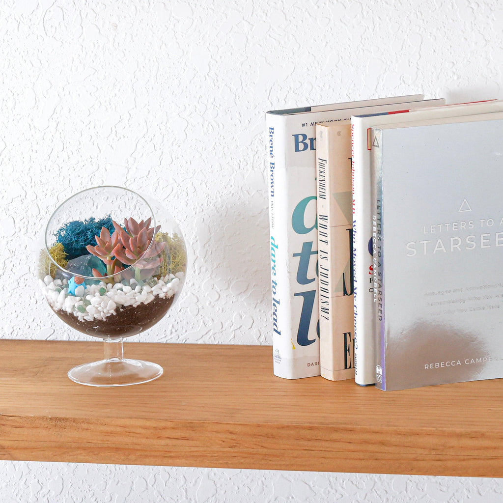 6" Glass Chalice Succulent Terrarium Kit - Creations by Nathalie