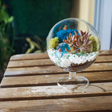 Load image into Gallery viewer, 6&quot; Glass Chalice Succulent Terrarium Kit - Creations by Nathalie