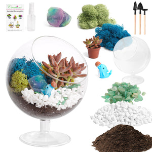6" Glass Chalice Succulent Terrarium Kit - Creations by Nathalie