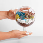 6" Glass Chalice Succulent Terrarium Kit - Creations by Nathalie