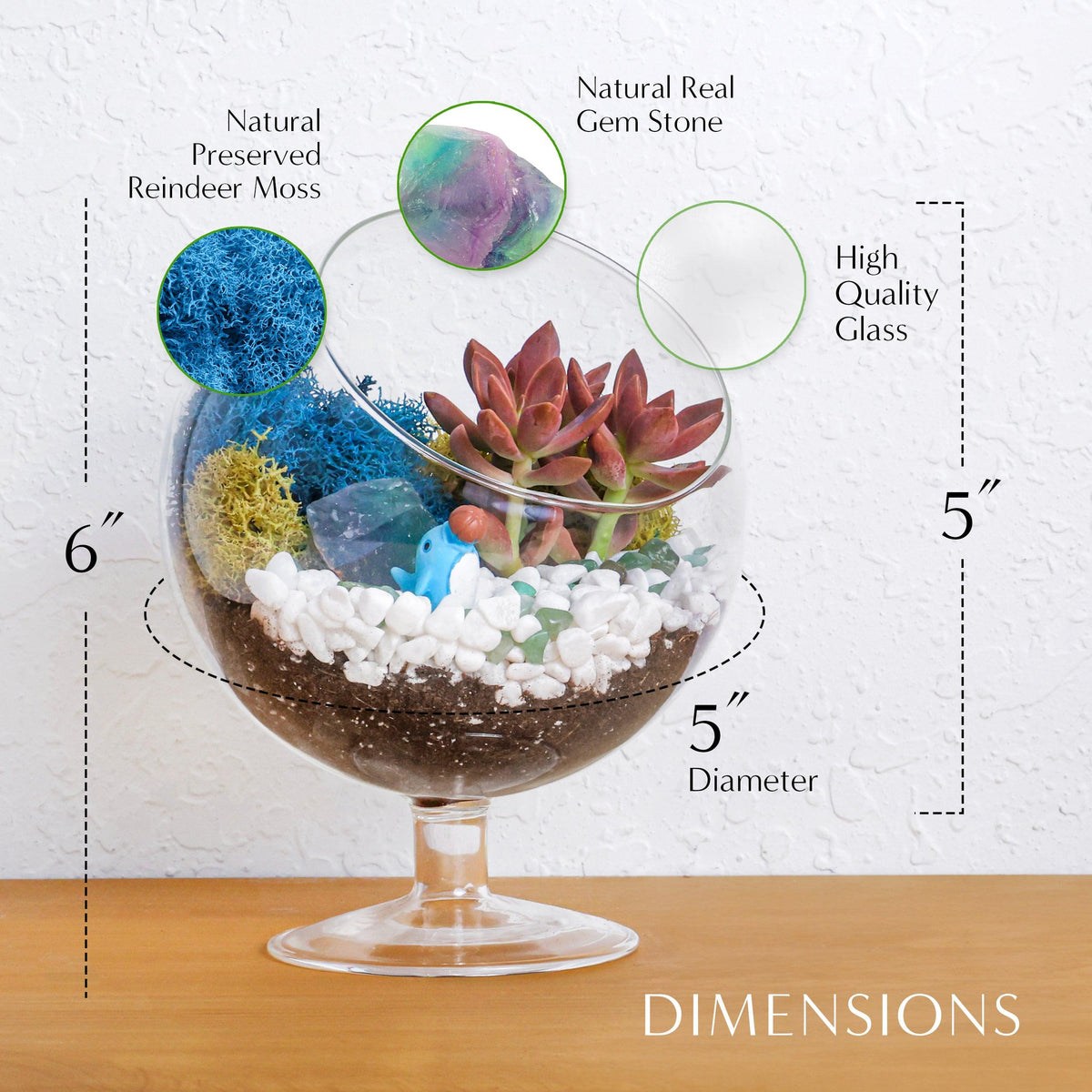 6" Glass Chalice Succulent Terrarium Kit - Creations by Nathalie