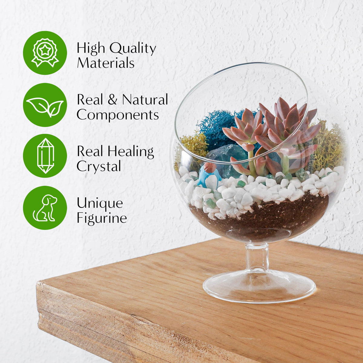 6" Glass Chalice Succulent Terrarium Kit - Creations by Nathalie