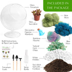 6" Glass Chalice Succulent Terrarium Kit - Creations by Nathalie