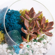 Load image into Gallery viewer, 6&quot; Glass Chalice Succulent Terrarium Kit - Creations by Nathalie