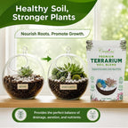 Terrarium Soil Mix — Well-Draining Succulent & Cactus Potting Soil, 2.2 QT | Natural Pine Bark, Peat & Coarse Sand Indoor Planting Blend