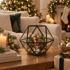 Geometric Glass Terrarium — Modern Tabletop Succulent Planter for Air Plants, DIY Terrarium Kits, Home & Office Decor