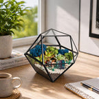 Geometric Glass Terrarium — Modern Tabletop Succulent Planter for Air Plants, DIY Terrarium Kits, Home & Office Decor