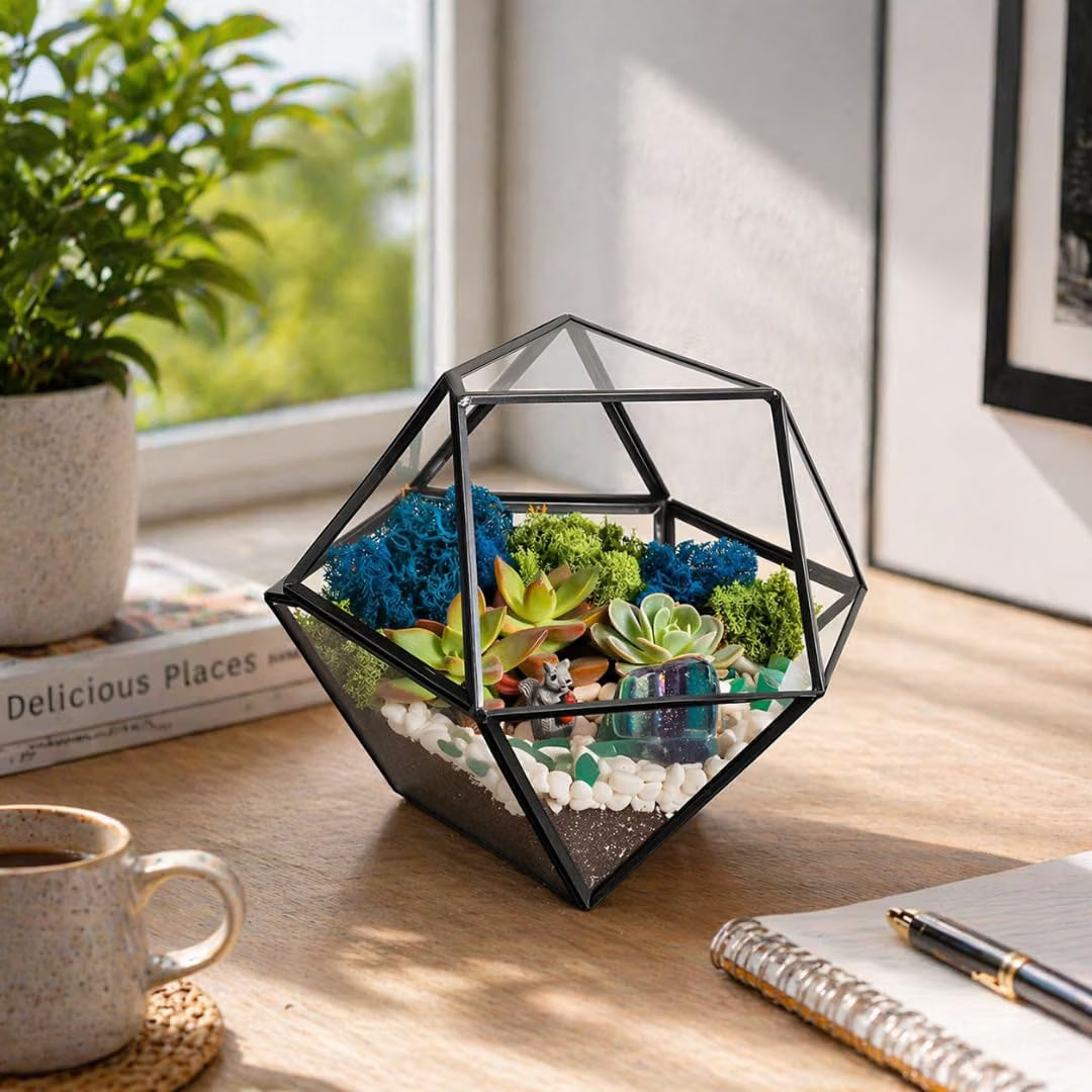 Geometric Glass Terrarium — Modern Tabletop Succulent Planter for Air Plants, DIY Terrarium Kits, Home & Office Decor