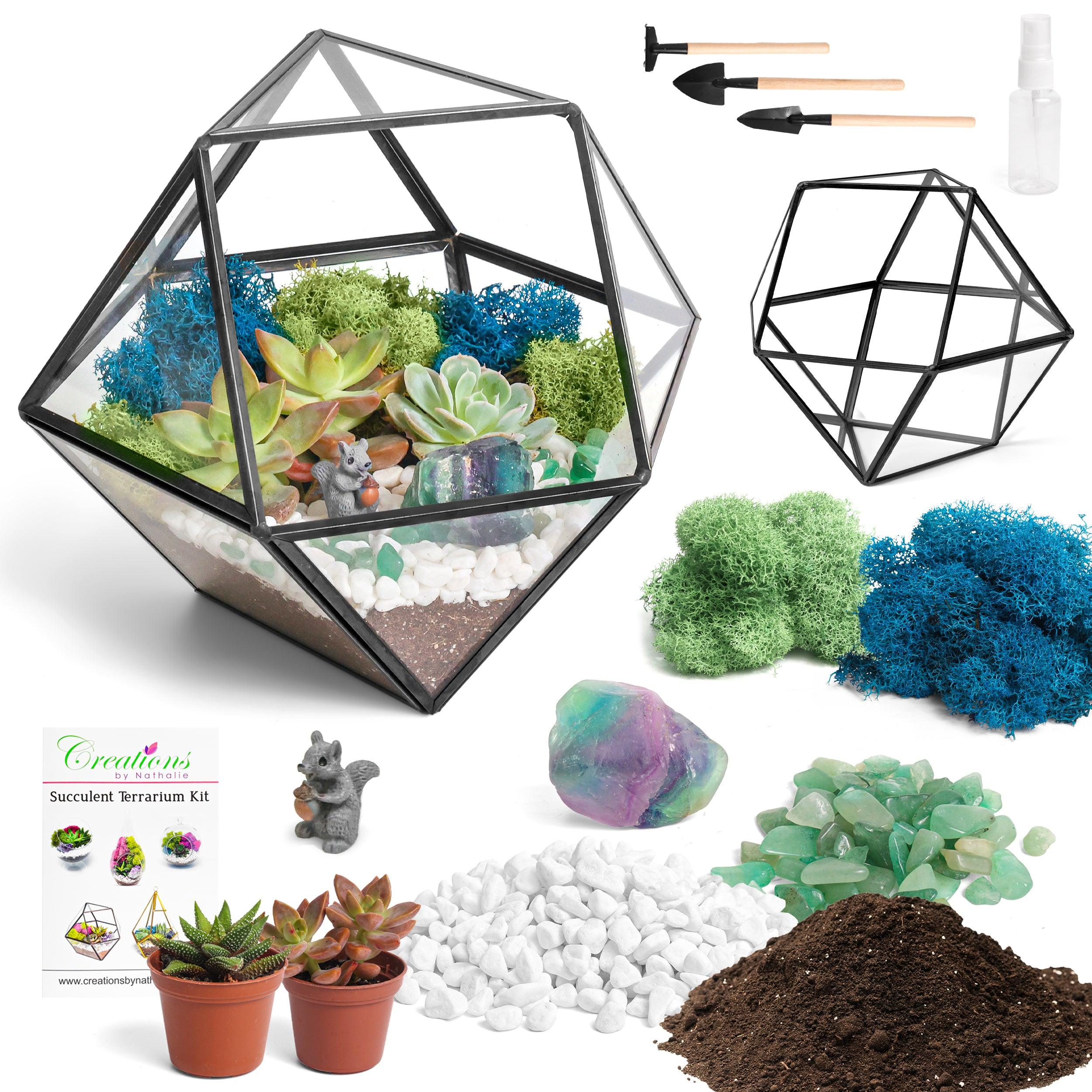 7” Geometric Black Glass Succulent Terrarium Kit - Creations by Nathalie