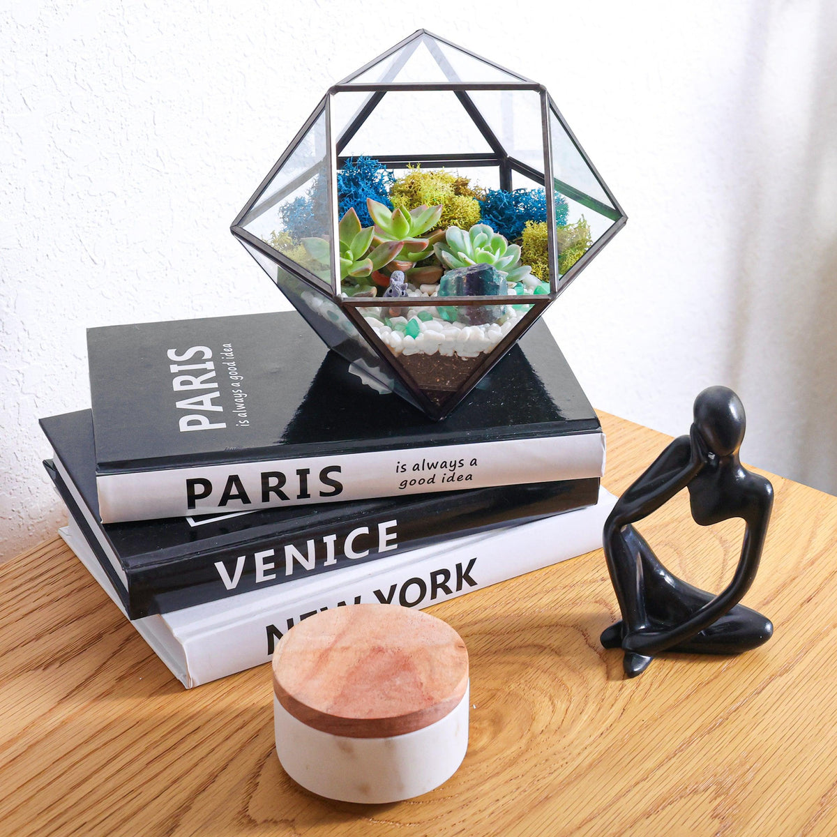 7” Geometric Black Glass Succulent Terrarium Kit - Creations by Nathalie