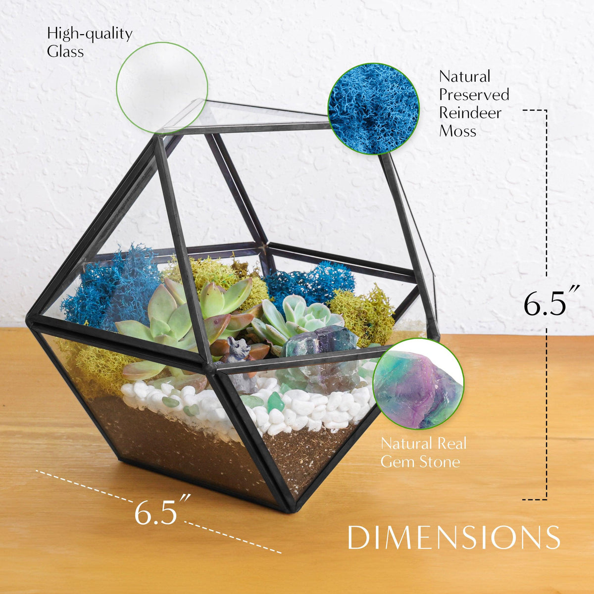 7” Geometric Black Glass Succulent Terrarium Kit - Creations by Nathalie